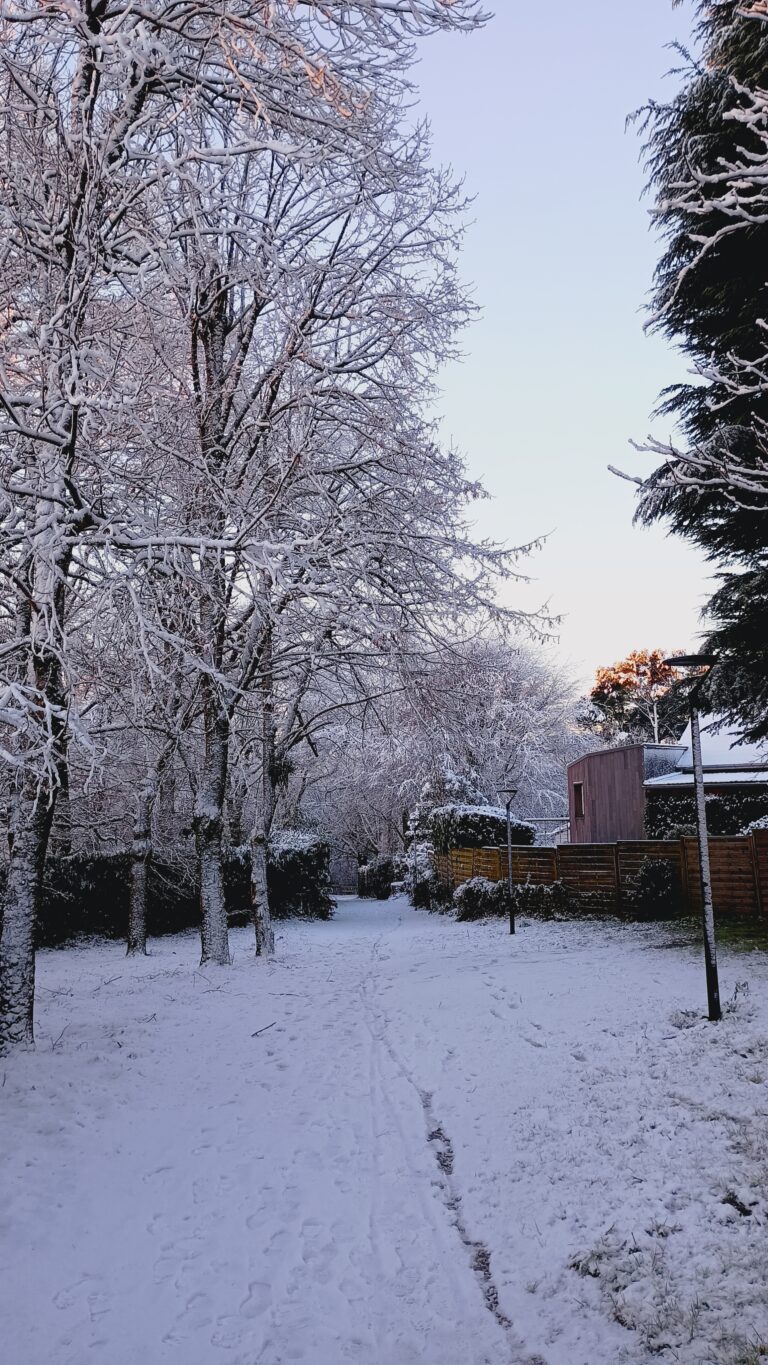 Le sentier de la Jalière un jour de neige