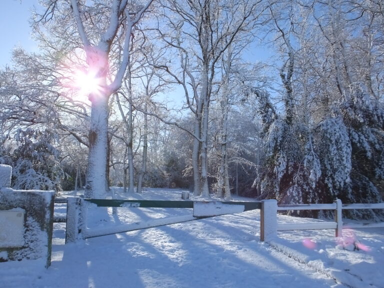L'entrée du parc un jour de neige.